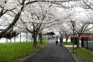 Weather's April Fools' Joke
